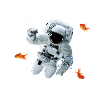 VIOOH_Hero_Astonaught-Fish
