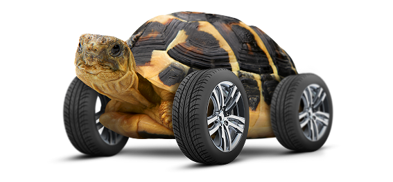 VIOOH_Tortoise Wheels_V2 1