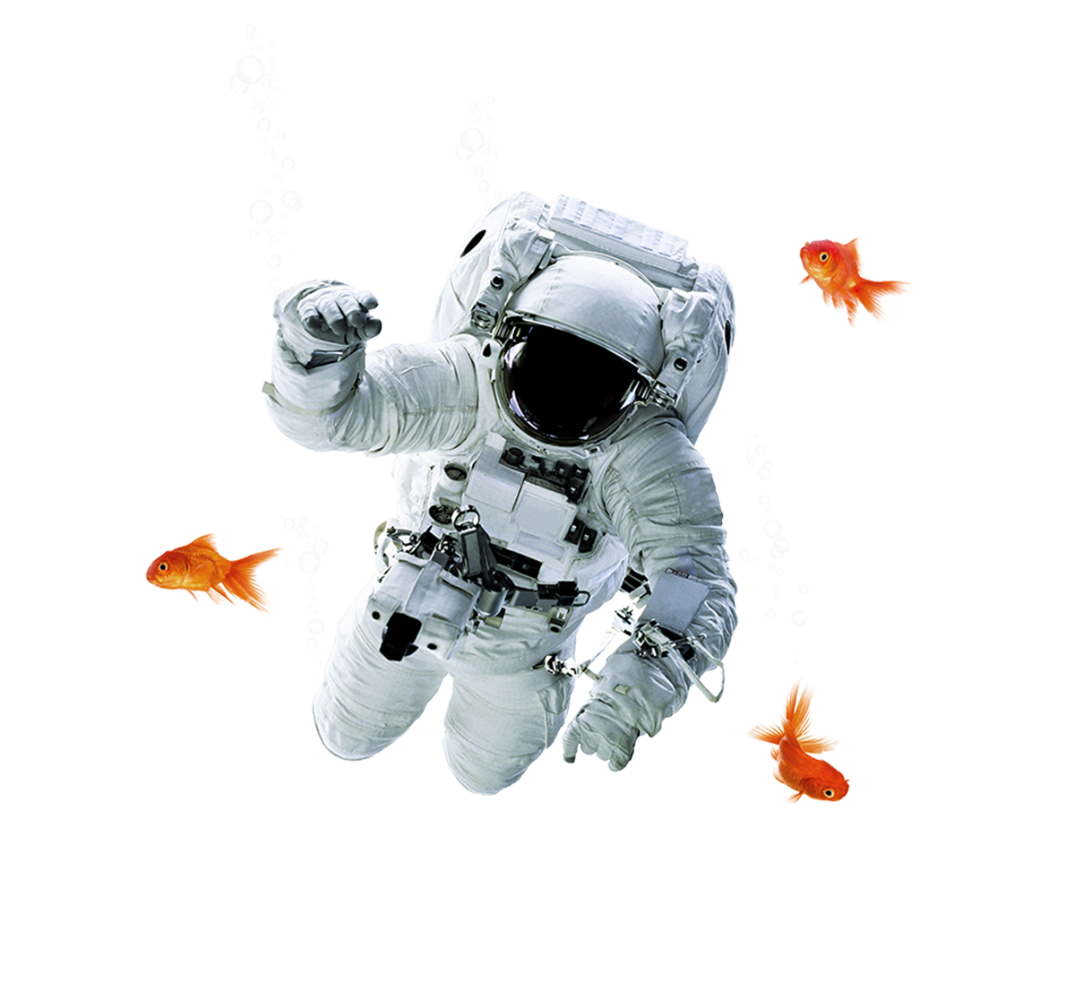 VIOOH_Hero_Astonaught-Fish